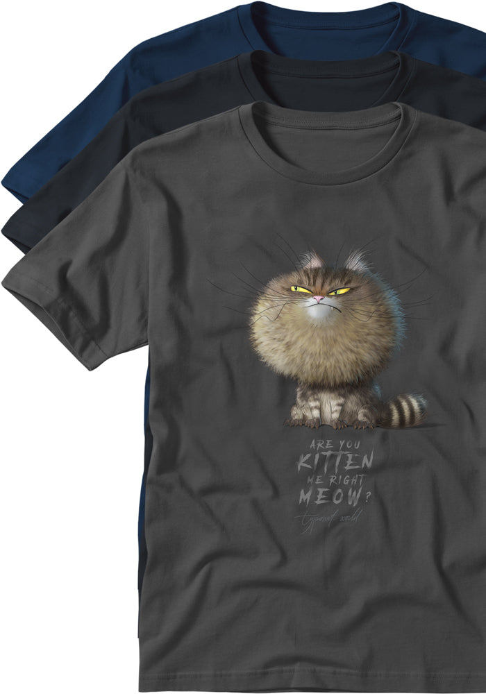 are you kitten me right meow shirt TYPOART