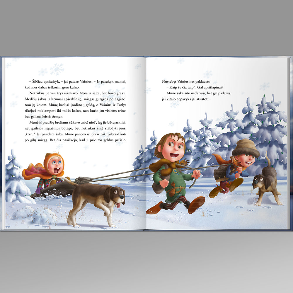 Žuvėdas knyga vaikams Kazys Saja TYPOART